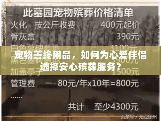 宠物善终用品,如何为心爱伴侣选择安心殡葬服务? 宠物善终用品,如何为心爱伴侣选择安心殡葬服务?