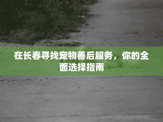 在长春寻找宠物善后服务，你的全面选择指南