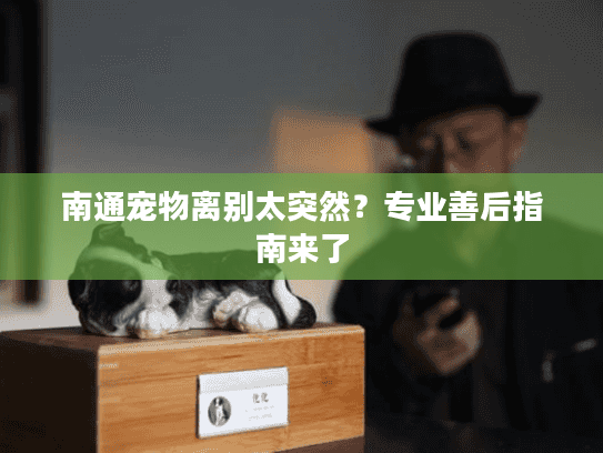 南通宠物离别太突然？专业善后指南来了