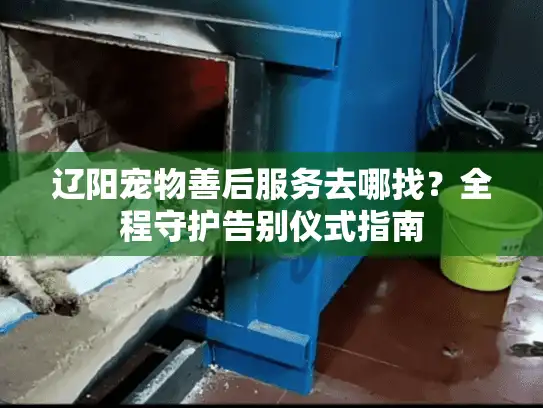 辽阳宠物善后服务去哪找？全程守护告别仪式指南