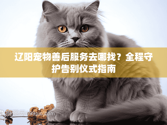 辽阳宠物善后服务去哪找？全程守护告别仪式指南