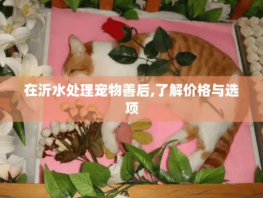 在沂水处理宠物善后,了解价格与选项 在沂水处理宠物善后,了解价格与选项