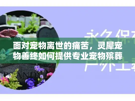 面对宠物离世的痛苦，灵犀宠物善终如何提供专业宠物殡葬服务？