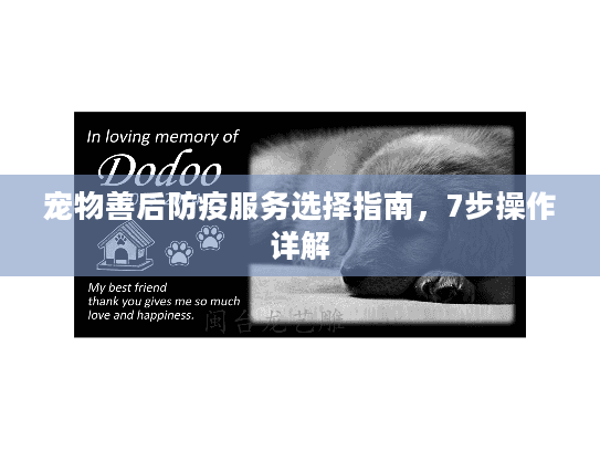 宠物善后防疫服务选择指南，7步操作详解