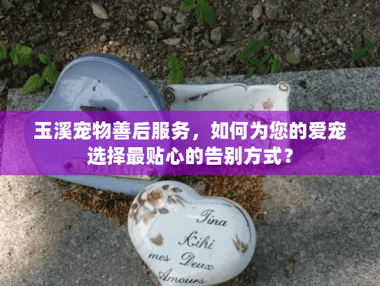 玉溪宠物善后服务,如何为您的爱宠选择最贴心的告别方式? 玉溪宠物善后服务,如何为您的爱宠选择最贴心的告别方式?