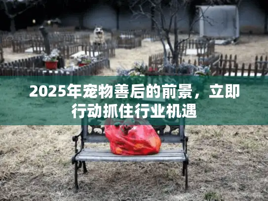 2025年宠物善后的前景，立即行动抓住行业机遇