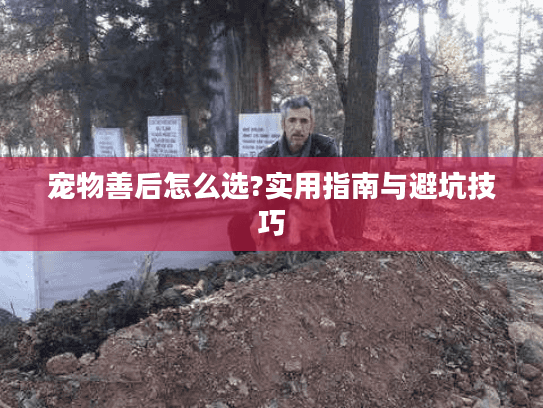 宠物善后怎么选?实用指南与避坑技巧 宠物善后怎么选?实用指南与避坑技巧