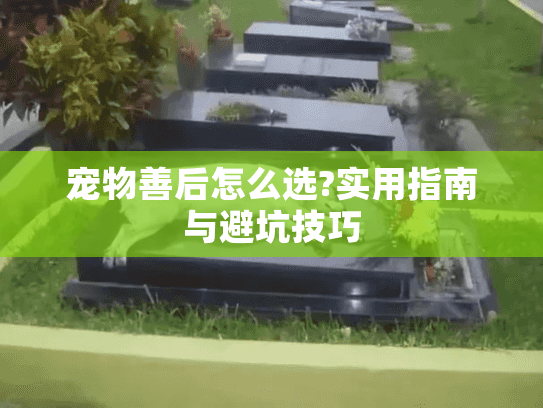 宠物善后怎么选?实用指南与避坑技巧 宠物善后怎么选?实用指南与避坑技巧