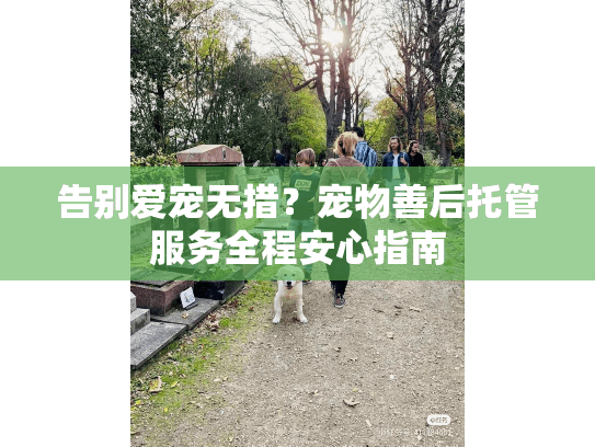 告别爱宠无措？宠物善后托管服务全程安心指南