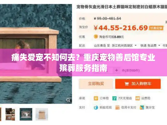 痛失爱宠不知何去?重庆宠物善后馆专业殡葬服务指南 痛失爱宠不知何去?重庆宠物善后馆专业殡葬服务指南