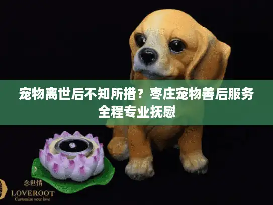 宠物离世后不知所措?枣庄宠物善后服务全程专业抚慰 宠物离世后不知所措?枣庄宠物善后服务全程专业抚慰