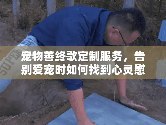 宠物善终歌定制服务，告别爱宠时如何找到心灵慰藉？