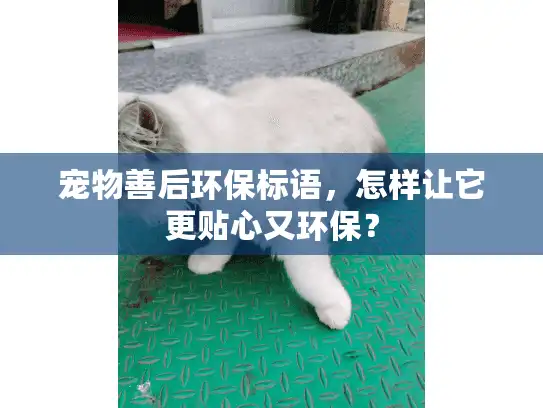 宠物善后环保标语，怎样让它更贴心又环保？