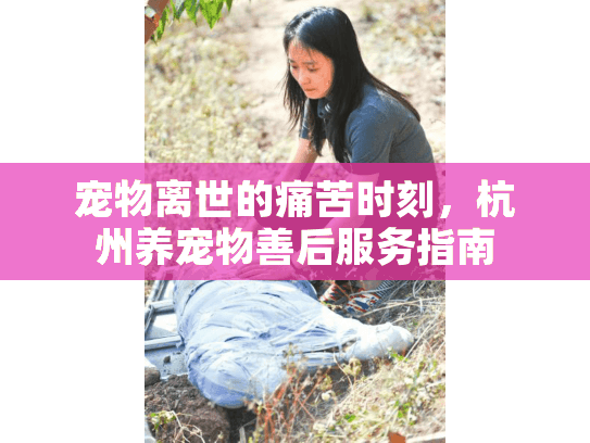 宠物离世的痛苦时刻，杭州养宠物善后服务指南