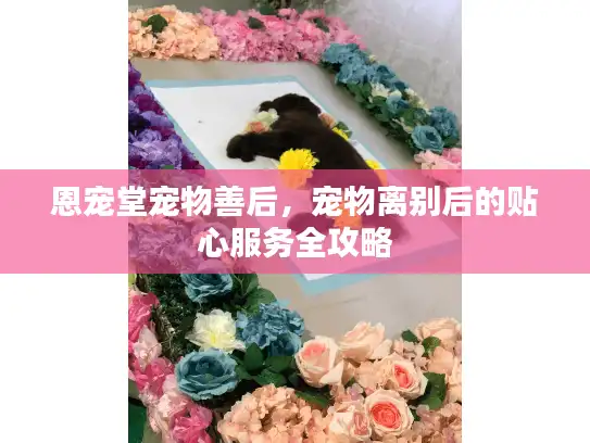 恩宠堂宠物善后，宠物离别后的贴心服务全攻略