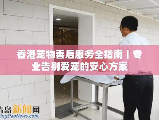 香港宠物善后服务全指南｜专业告别爱宠的安心方案