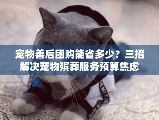 宠物善后团购能省多少?三招解决宠物殡葬服务预算焦虑 宠物善后团购能省多少?三招解决宠物殡葬服务预算焦虑