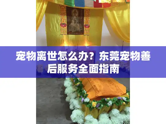 宠物离世怎么办？东莞宠物善后服务全面指南