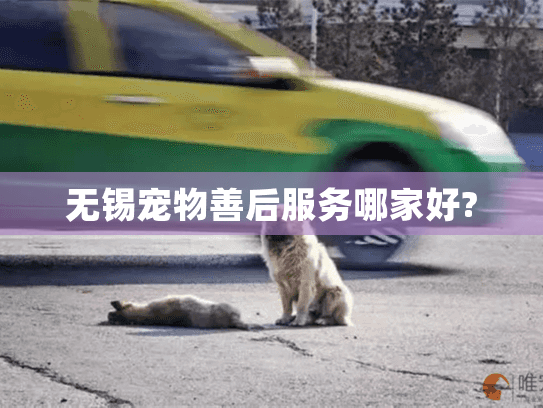 无锡宠物善后服务哪家好?