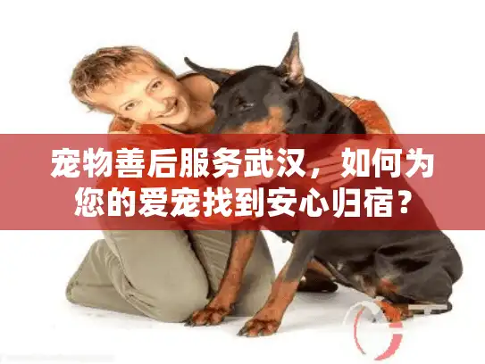 宠物善后服务武汉,如何为您的爱宠找到安心归宿? 宠物善后服务武汉,如何为您的爱宠找到安心归宿?