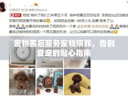 宠物善后服务宠物殡葬，告别爱宠的贴心指南