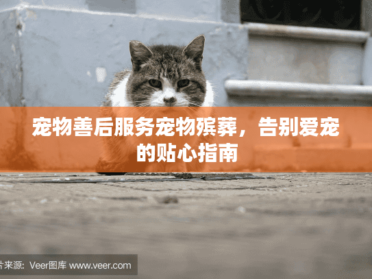 宠物善后服务宠物殡葬，告别爱宠的贴心指南