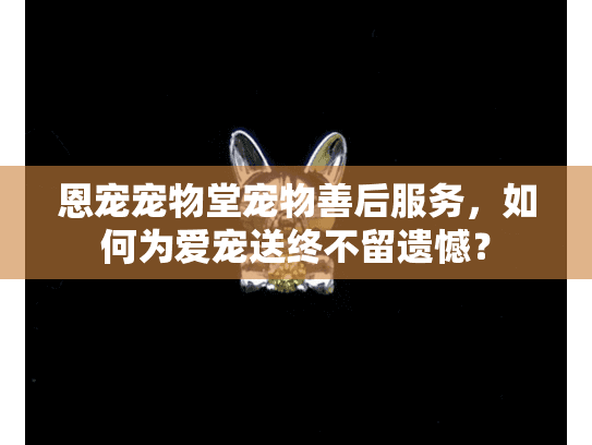 恩宠宠物堂宠物善后服务，如何为爱宠送终不留遗憾？