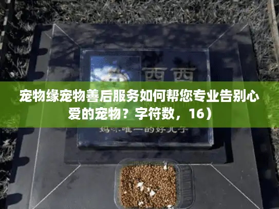 宠物缘宠物善后服务如何帮您专业告别心爱的宠物？字符数，16）