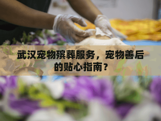 武汉宠物殡葬服务，宠物善后的贴心指南？