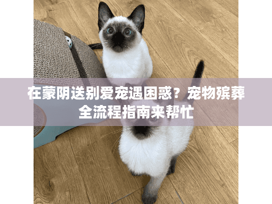 在蒙阴送别爱宠遇困惑？宠物殡葬全流程指南来帮忙