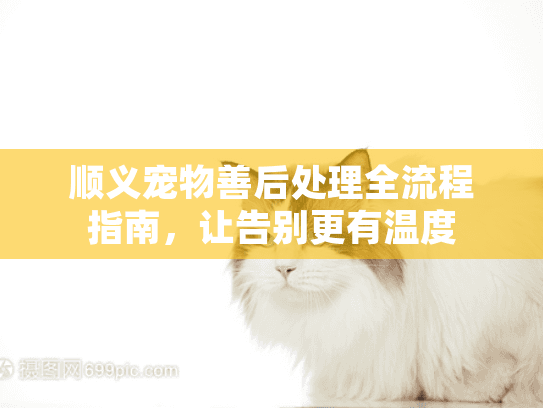 顺义宠物善后处理全流程指南，让告别更有温度