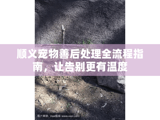 顺义宠物善后处理全流程指南,让告别更有温度 顺义宠物善后处理全流程指南,让告别更有温度