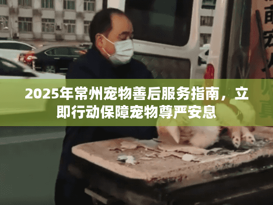 2025年常州宠物善后服务指南，立即行动保障宠物尊严安息