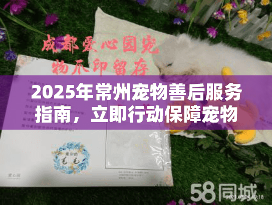 2025年常州宠物善后服务指南，立即行动保障宠物尊严安息