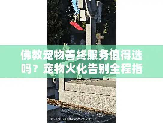佛教宠物善终服务值得选吗？宠物火化告别全程指南