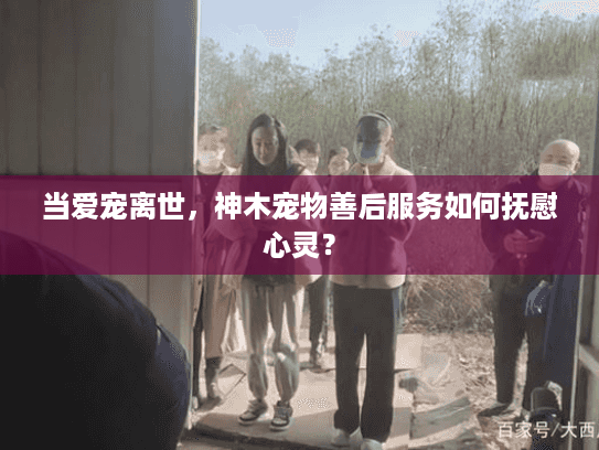 当爱宠离世,神木宠物善后服务如何抚慰心灵? 当爱宠离世,神木宠物善后服务如何抚慰心灵?