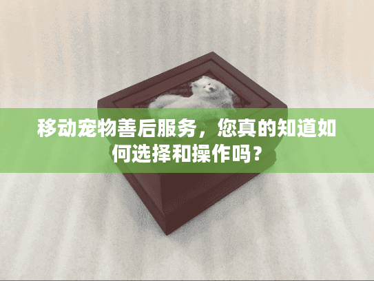 移动宠物善后服务，您真的知道如何选择和操作吗？