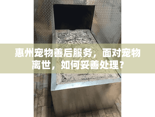 惠州宠物善后服务,面对宠物离世,如何妥善处理? 惠州宠物善后服务,面对宠物离世,如何妥善处理?