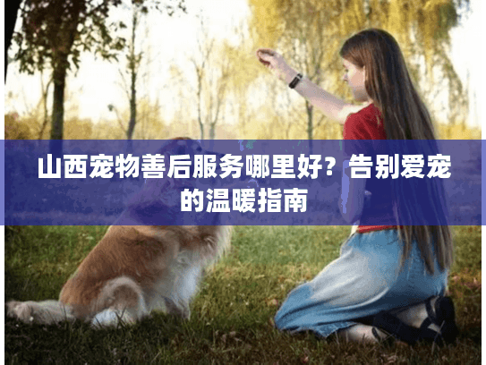 山西宠物善后服务哪里好？告别爱宠的温暖指南
