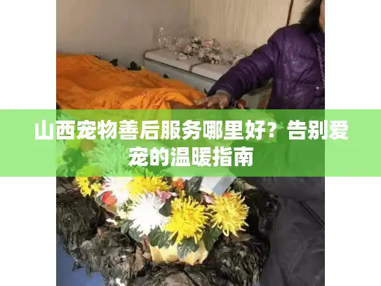 山西宠物善后服务哪里好？告别爱宠的温暖指南