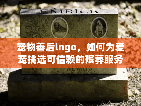 宠物善后lngo，如何为爱宠挑选可信赖的殡葬服务？