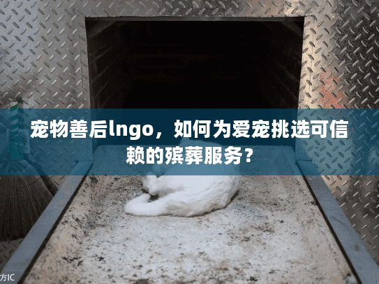 宠物善后lngo，如何为爱宠挑选可信赖的殡葬服务？