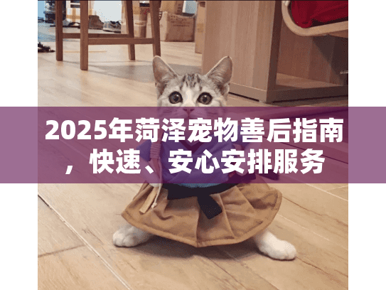 2025年菏泽宠物善后指南，快速、安心安排服务