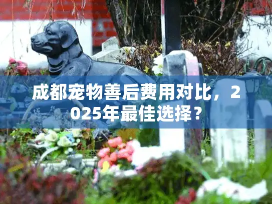 成都宠物善后费用对比,2025年最佳选择? 成都宠物善后费用对比,2025年最佳选择?
