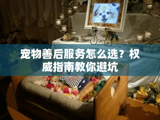 宠物善后服务怎么选？权威指南教你避坑