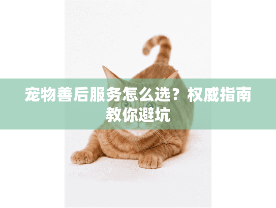 宠物善后服务怎么选？权威指南教你避坑