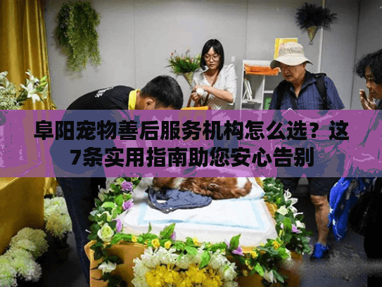 阜阳宠物善后服务机构怎么选？这7条实用指南助您安心告别