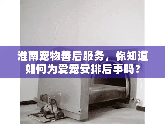 淮南宠物善后服务，你知道如何为爱宠安排后事吗？