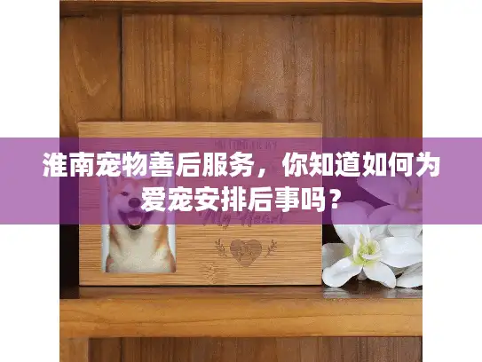 淮南宠物善后服务，你知道如何为爱宠安排后事吗？