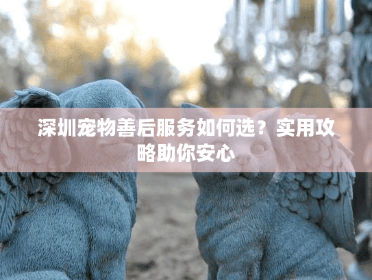 深圳宠物善后服务如何选？实用攻略助你安心